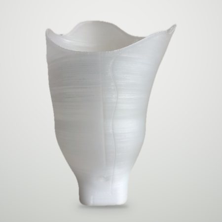 Invaso stampato in 3D, materiale trasparente